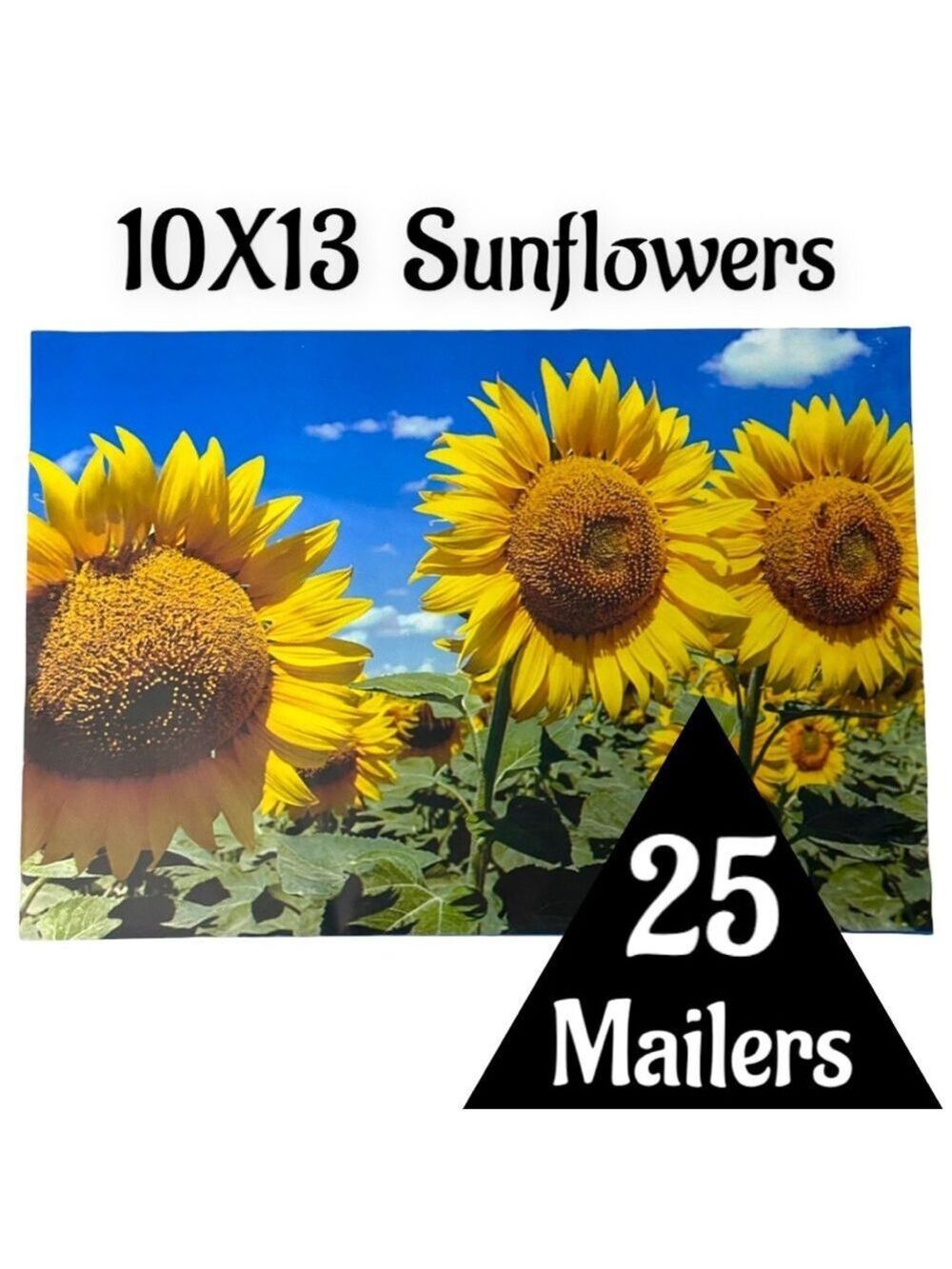 25 10X13 Poly Mailers Sunflower, Shipping Envelopes PRICE IS FIRM Fall - Picture 6 of 12